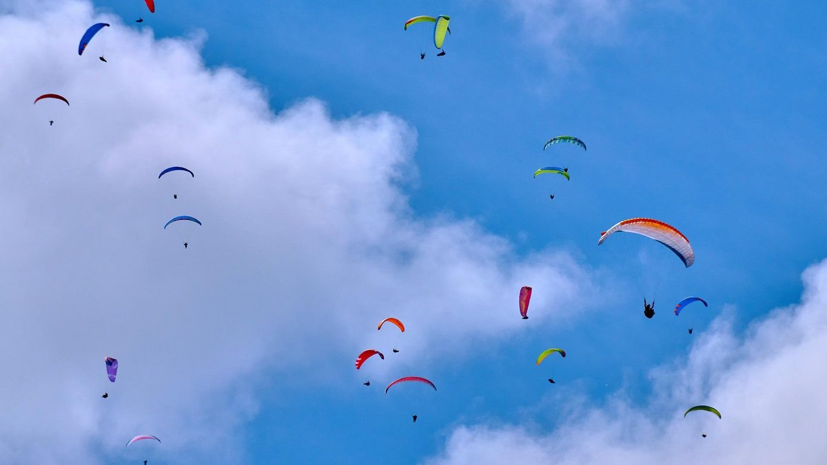 Paragliders in the sky