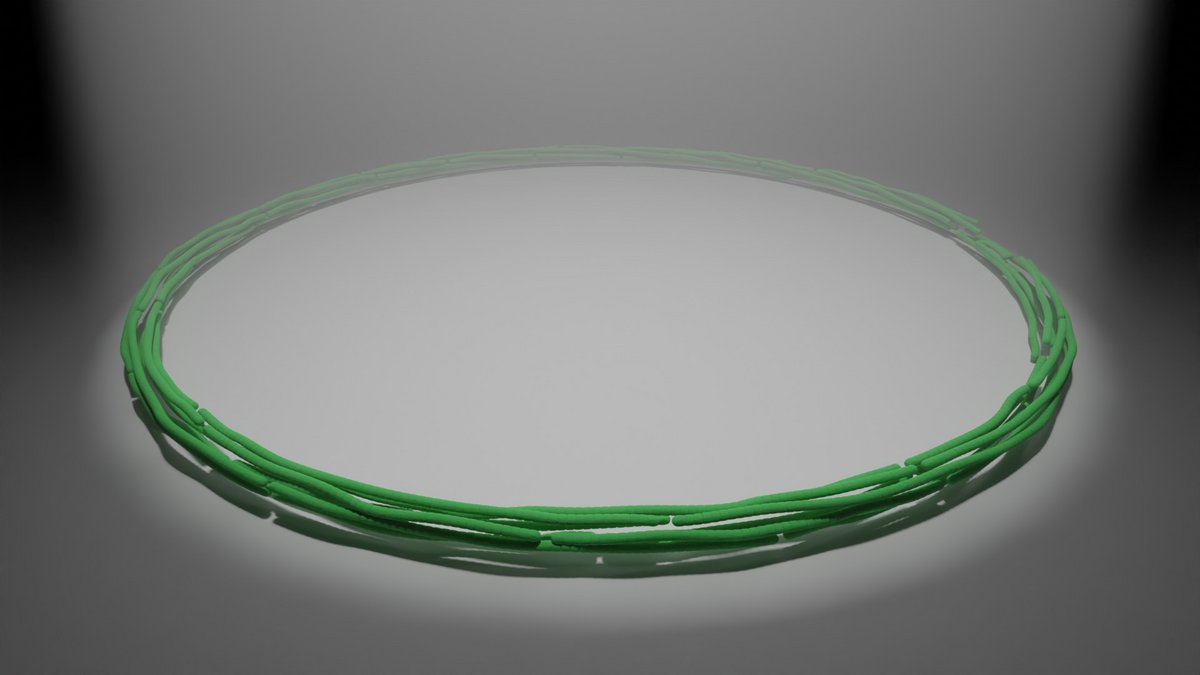  3D visualization of cyanobacteria 