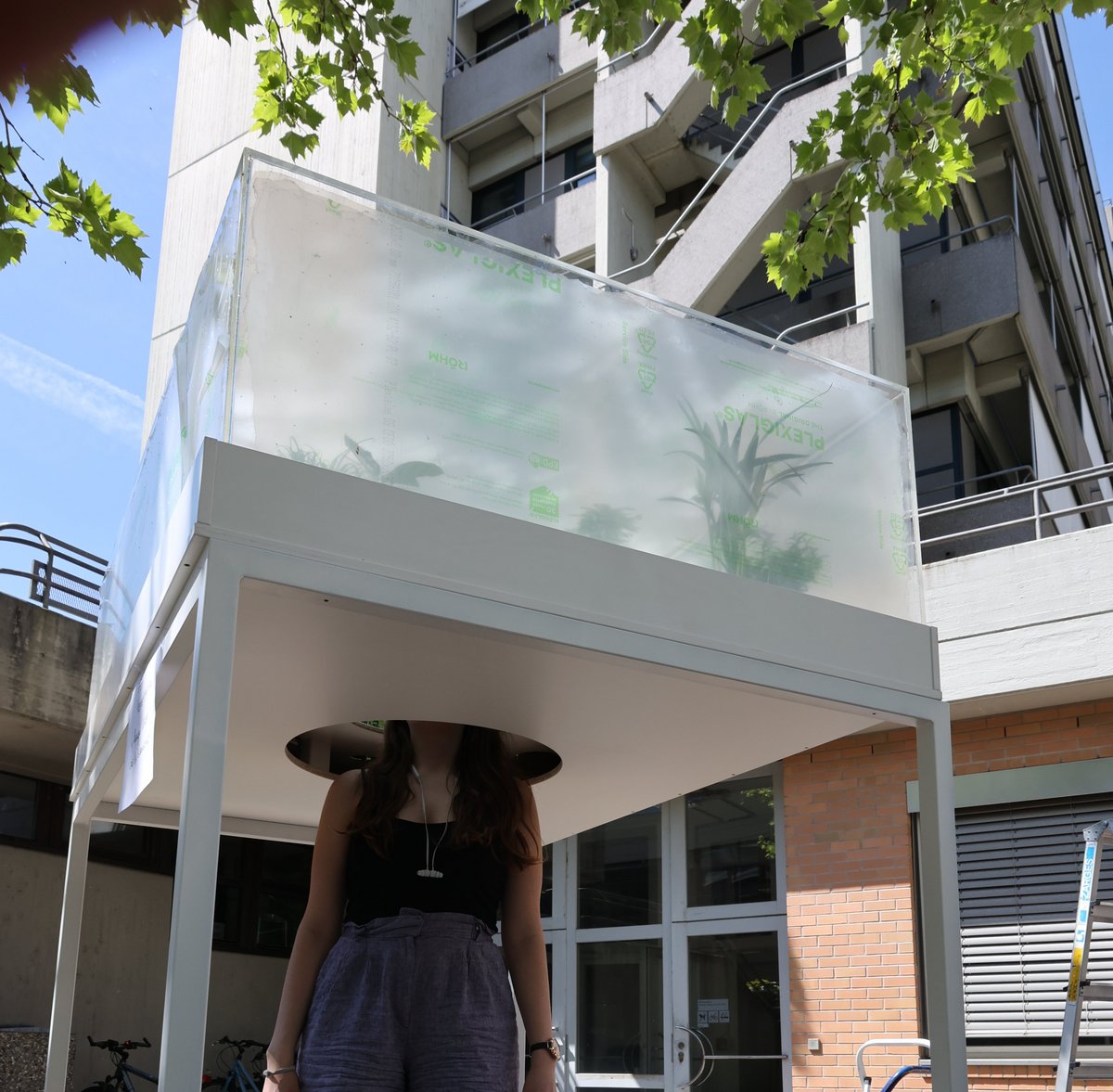 PErson putting her head in a plexi box with plants from below