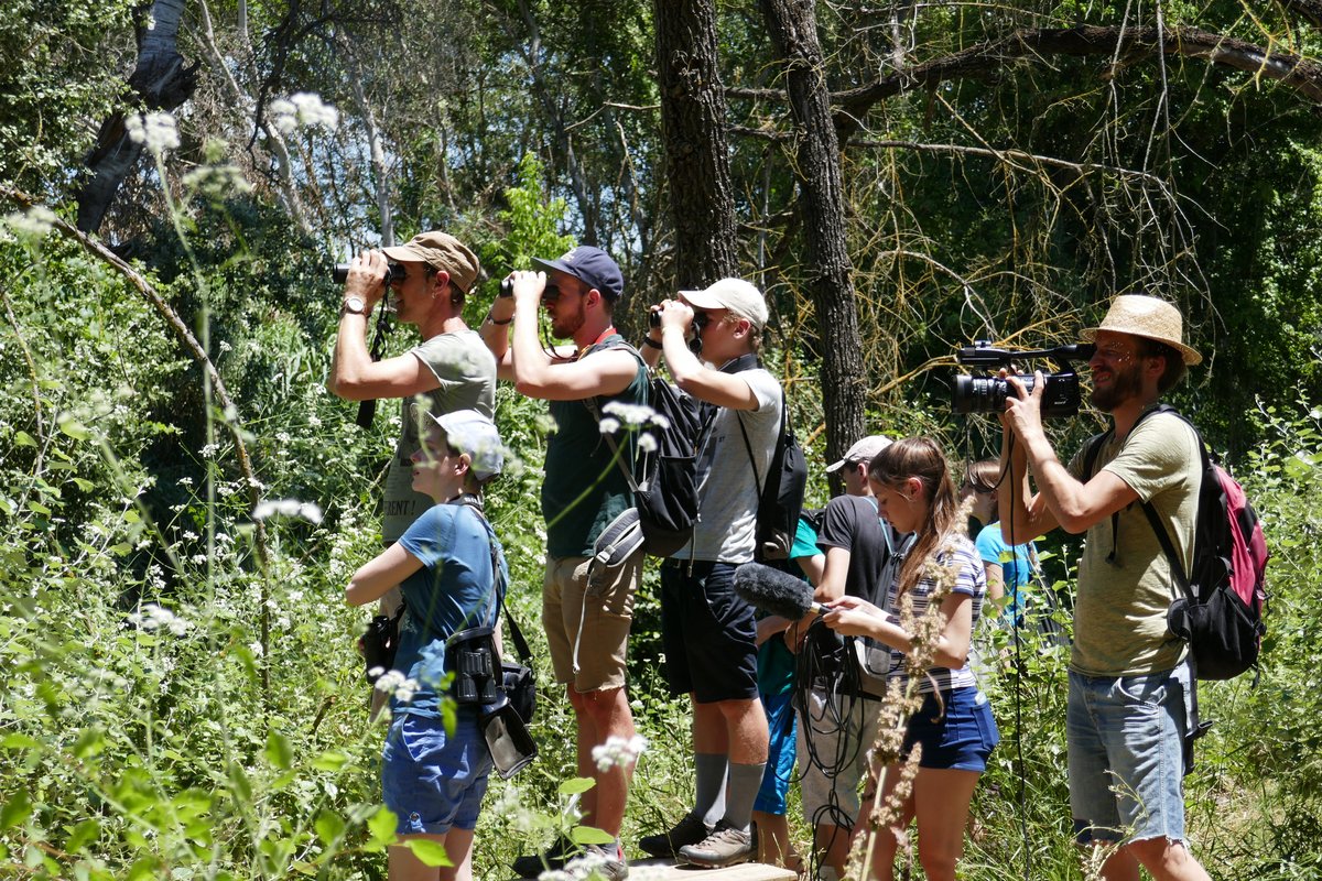 People observing something with spyglasses and cameras in the forest.