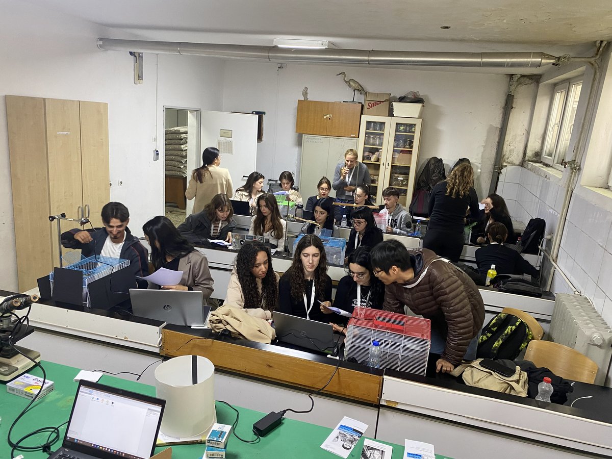 People working in a lab